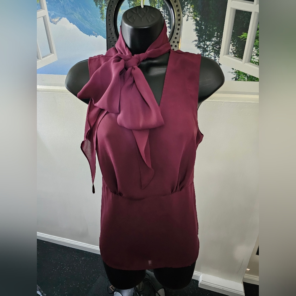Ann Taylor Burgundy Top - Size 6